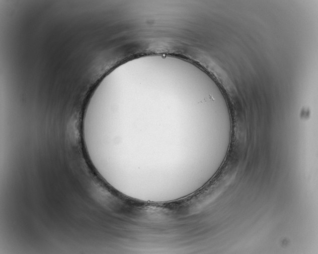 X0000103960393200809191516