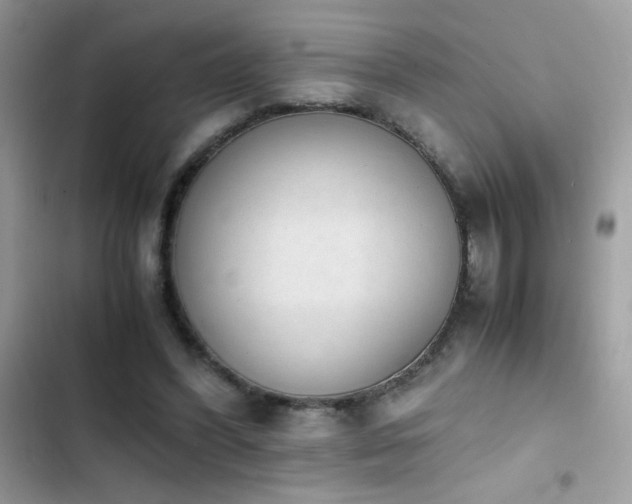 X0000103960396200809191516