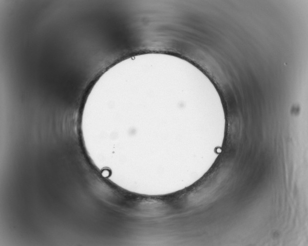 X0000103960397200809191516
