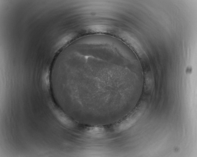 X0000103960398200809191516