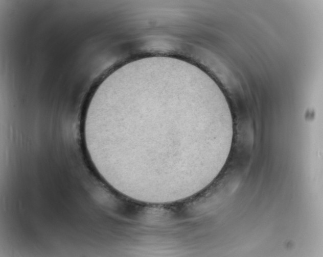 X0000103960399200809191516