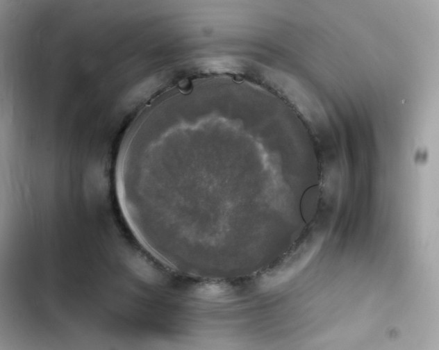 X0000103960402200809191516