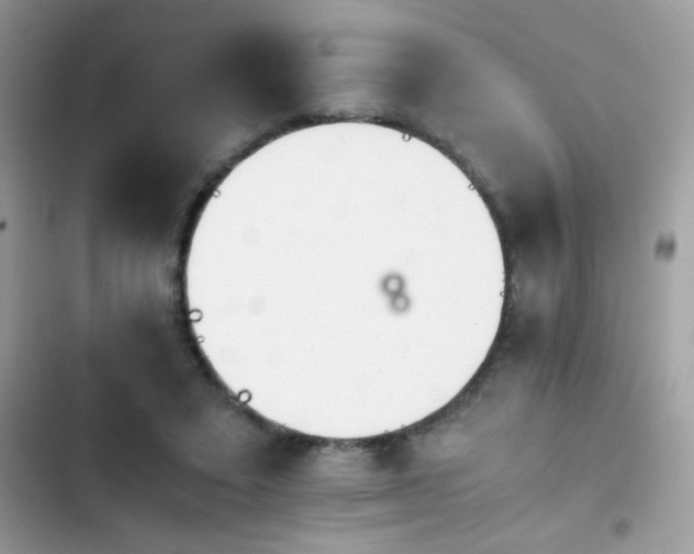 X0000103960403200809191516