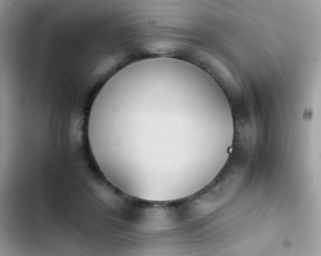 X0000103960404200809191516