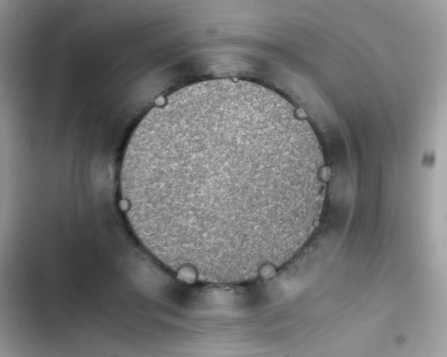X0000103960405200809191516