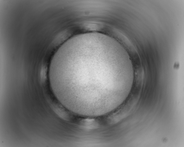X0000103960406200809191516