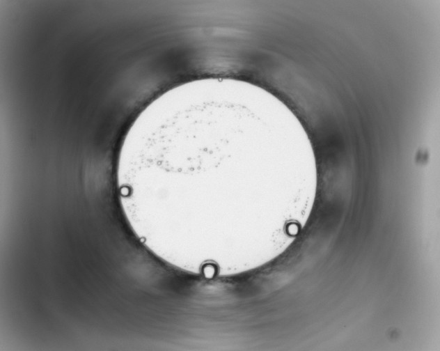 X0000103960407200809191516