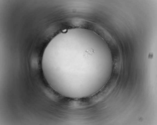 X0000103960408200809191516