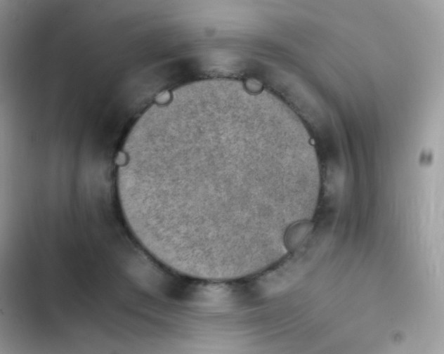 X0000103960409200809191516