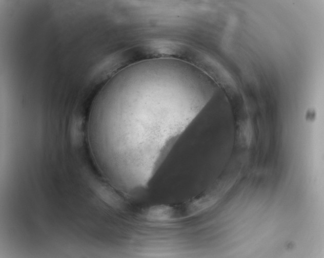 X0000103960410200809191516
