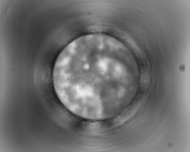 X0000103960411200809191516