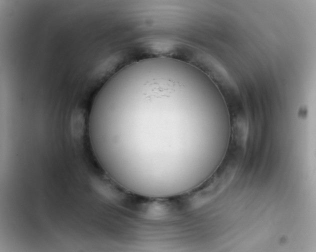 X0000103960412200809191516