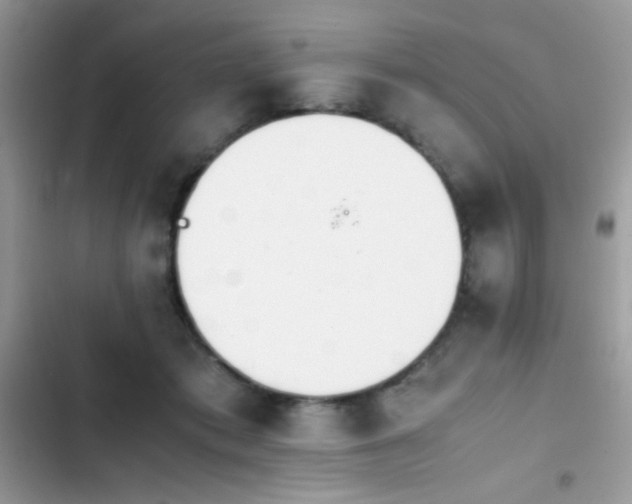 X0000103960413200809191516