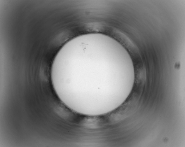 X0000103960414200809191516