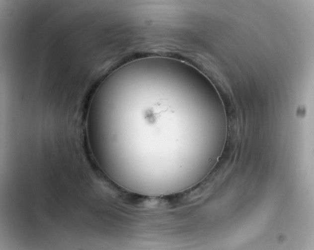 X0000103960415200809191516