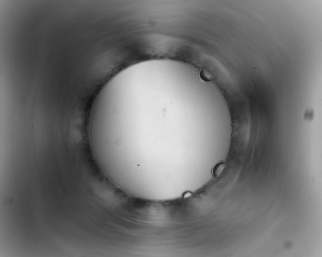 X0000103960416200809191516
