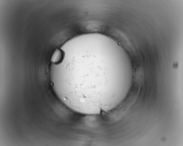 X0000103960418200809191516