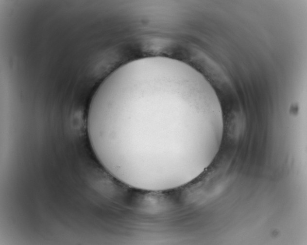 X0000103960420200809191516