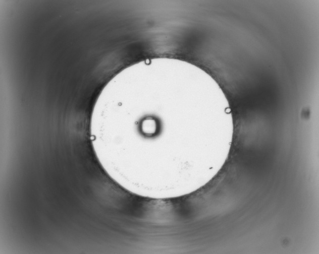 X0000103960421200809191516