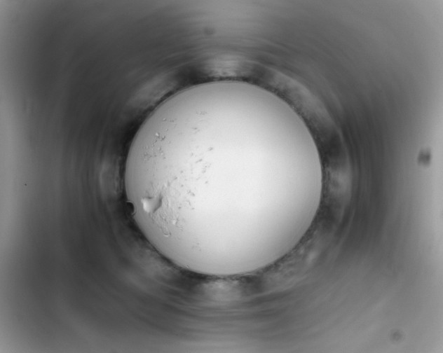 X0000103960422200809191516