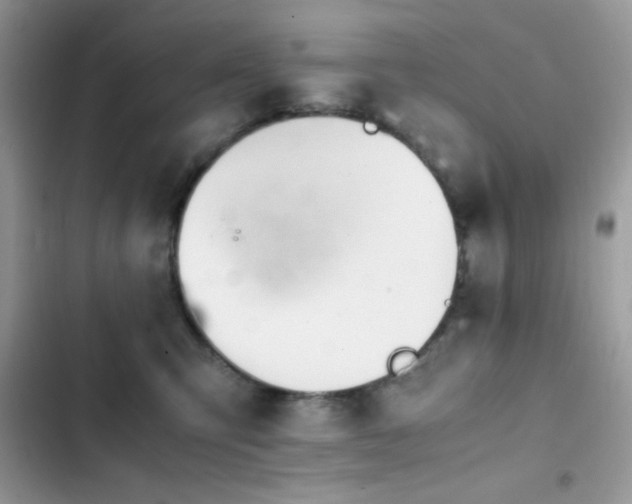 X0000103960423200809191516