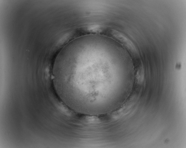 X0000103960424200809191516