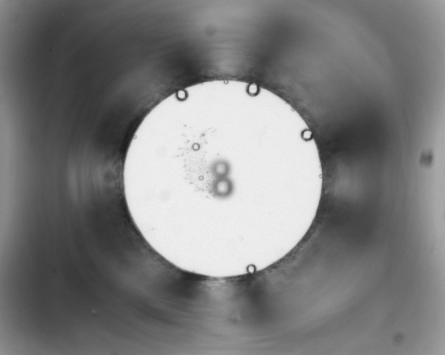 X0000103960425200809191516