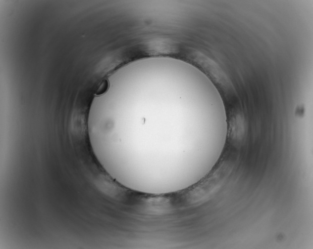 X0000103960426200809191516
