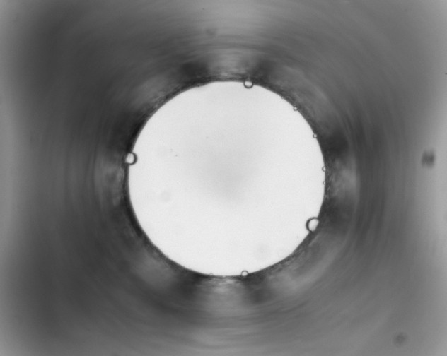 X0000103960427200809191515