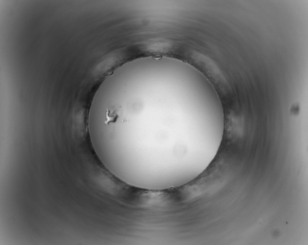 X0000103960428200809191515