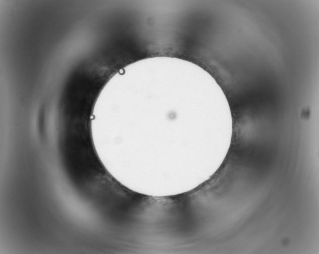 X0000103960429200809191515