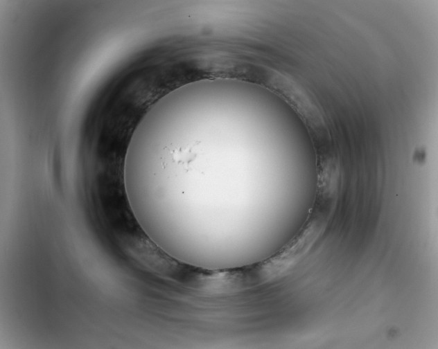 X0000103960430200809191515