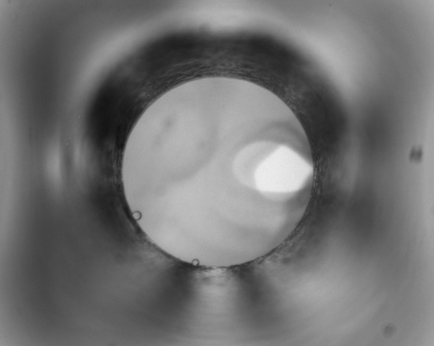 X0000103960431200809191515