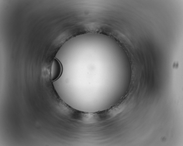X0000103960432200809191515