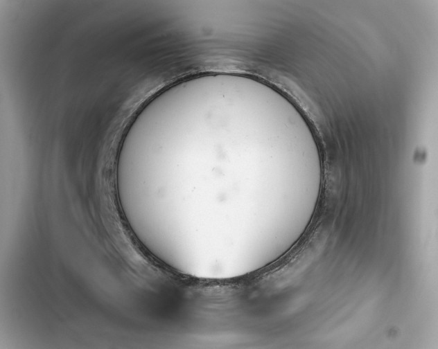 X0000103960433200809191515