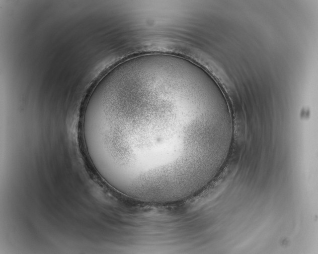 X0000103960434200809191515
