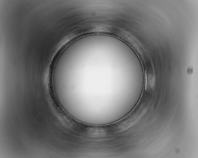 X0000103960435200809191515