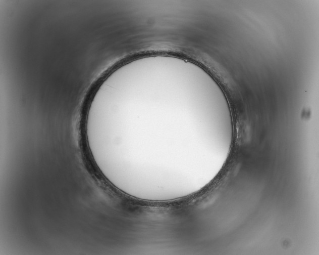 X0000103960436200809191515