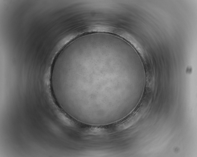 X0000103960437200809191515