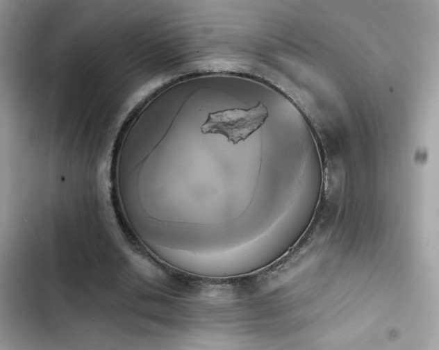 X0000103960438200809191515