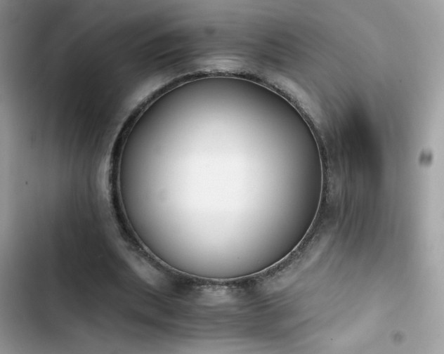 X0000103960439200809191515
