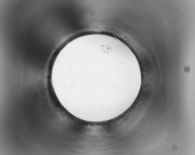 X0000103960440200809191515