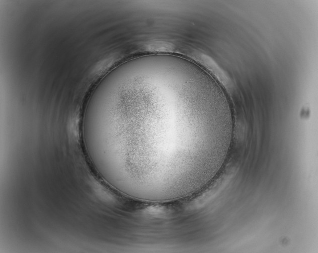 X0000103960441200809191515