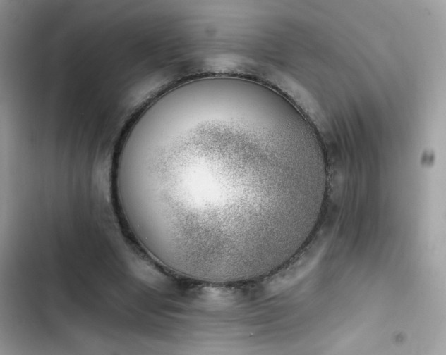 X0000103960442200809191515