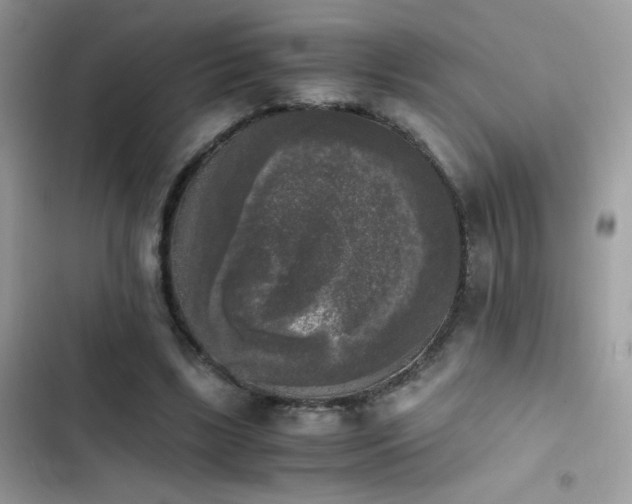 X0000103960443200809191515