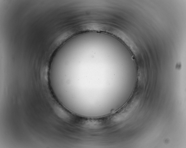 X0000103960445200809191515