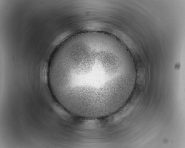 X0000103960446200809191515