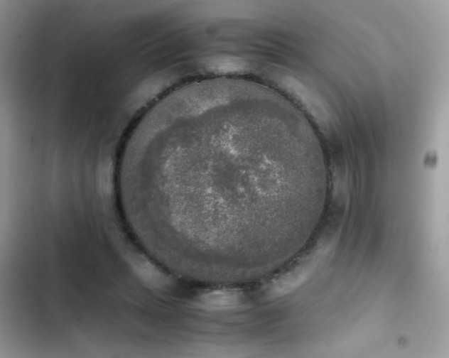 X0000103960447200809191515
