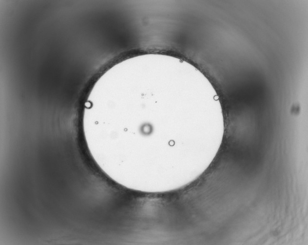 X0000103960448200809191515
