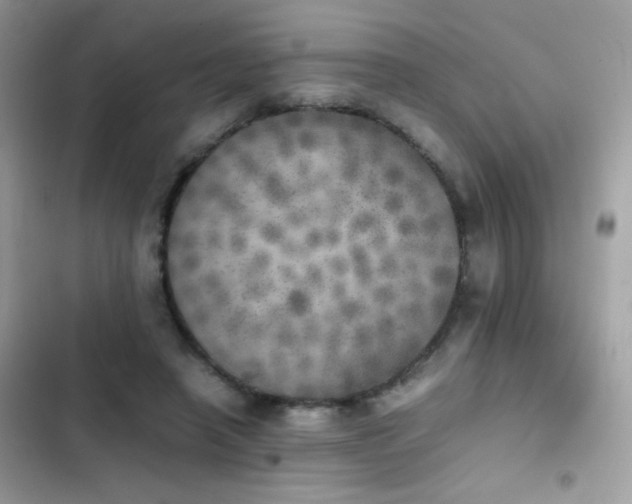 X0000103960450200809191515